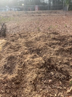  for Otis Lee Stump Grinding LLC in Elgin, SC