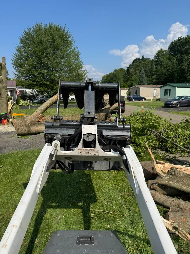Tree Removal for Licensed to Cut Tree Service in Athens, PA