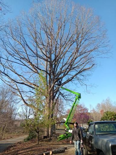  for Backwoods Tree Experts in Vale, NC
