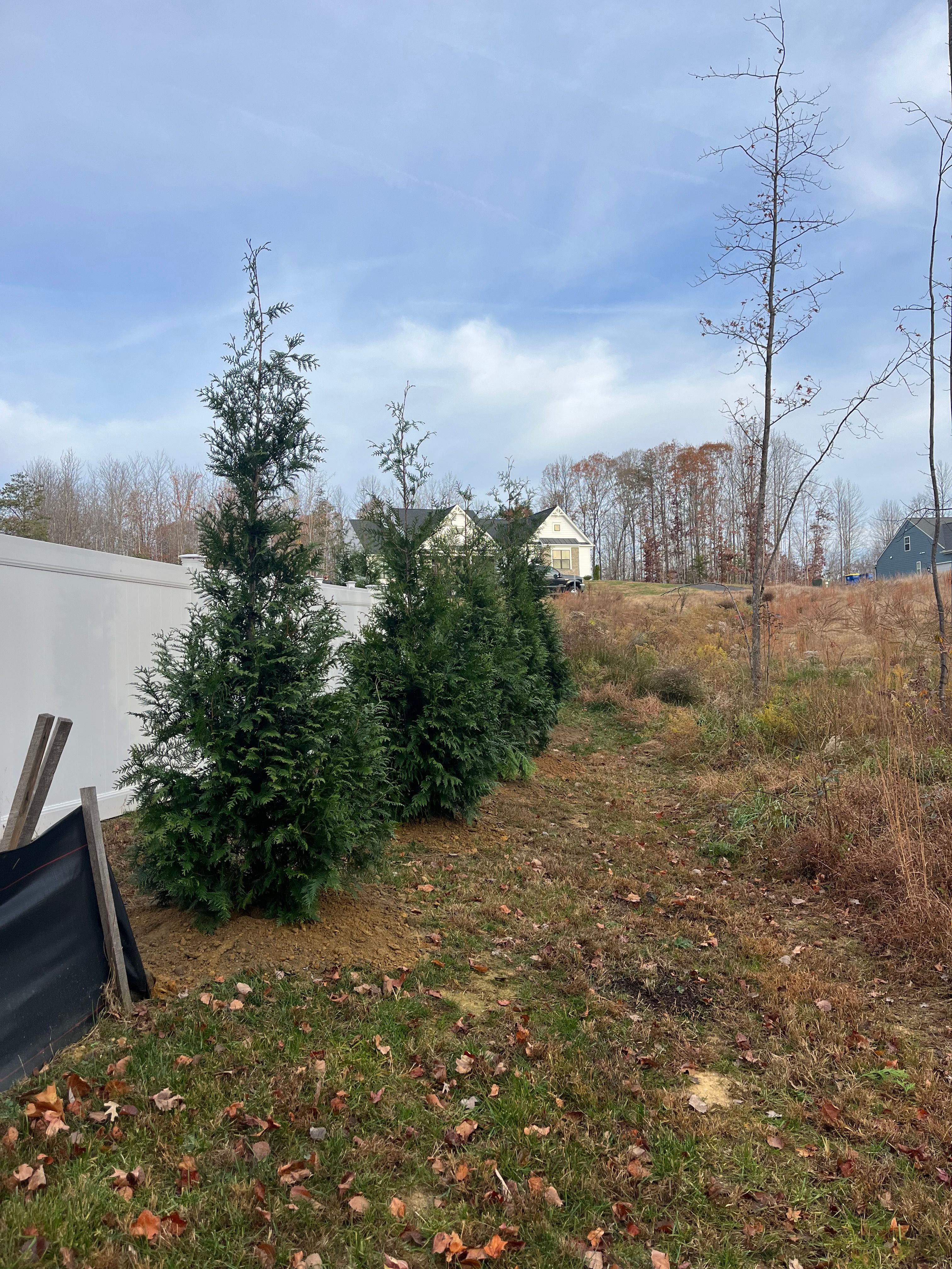  for Atlas Home Services in Mechanicsville, VA