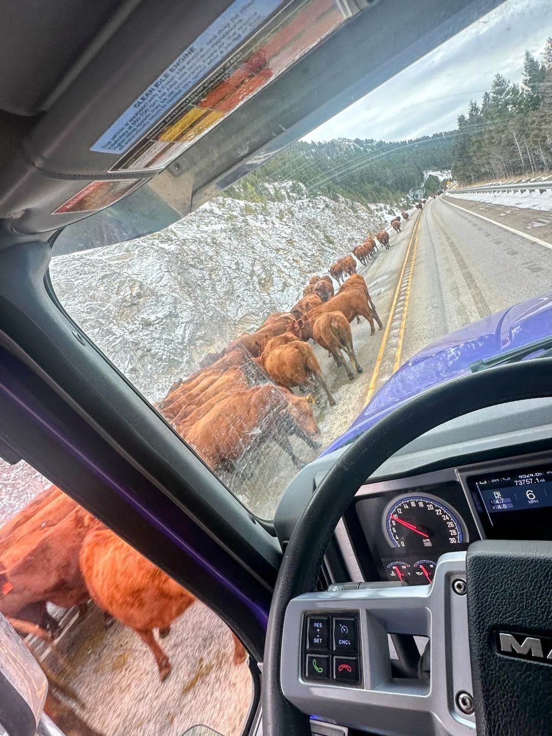  for Rocky Mountain Dirt Work in Missoula, MT