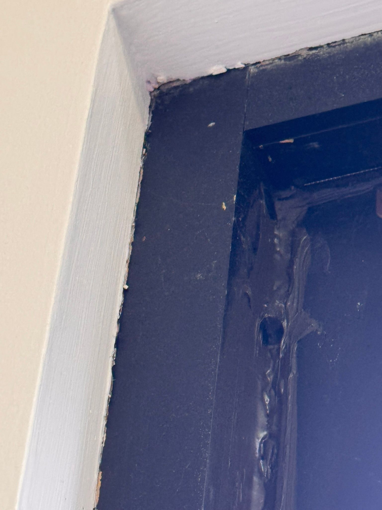  for Tony's Remodeling & Painting in Renton, WA