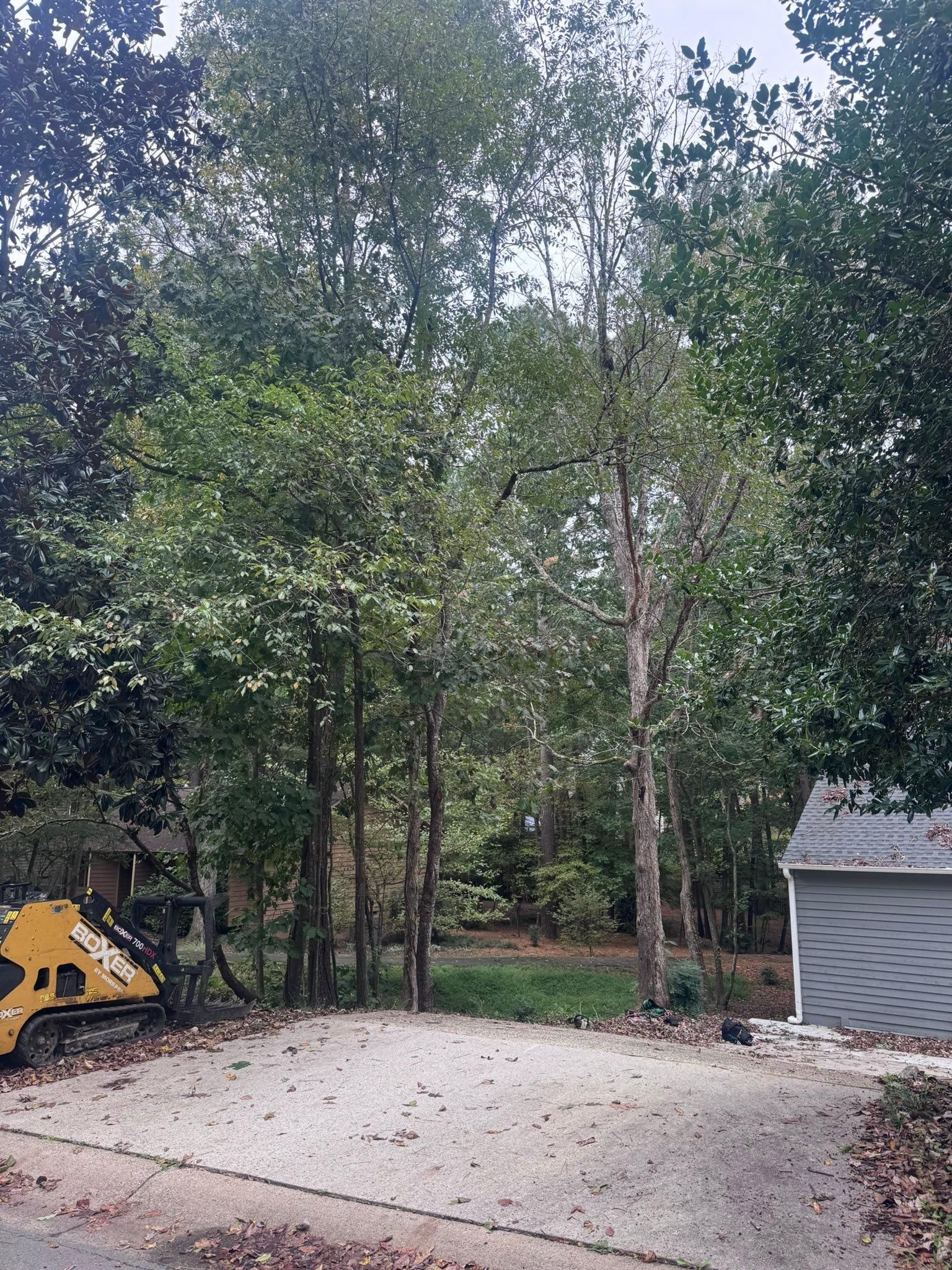All Photos for Diversified Tree Company in Trinity, NC