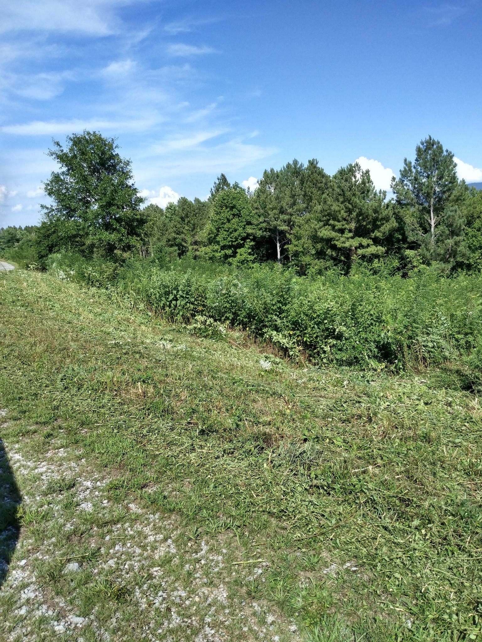  for KWL Lawn Care in Etowah, TN