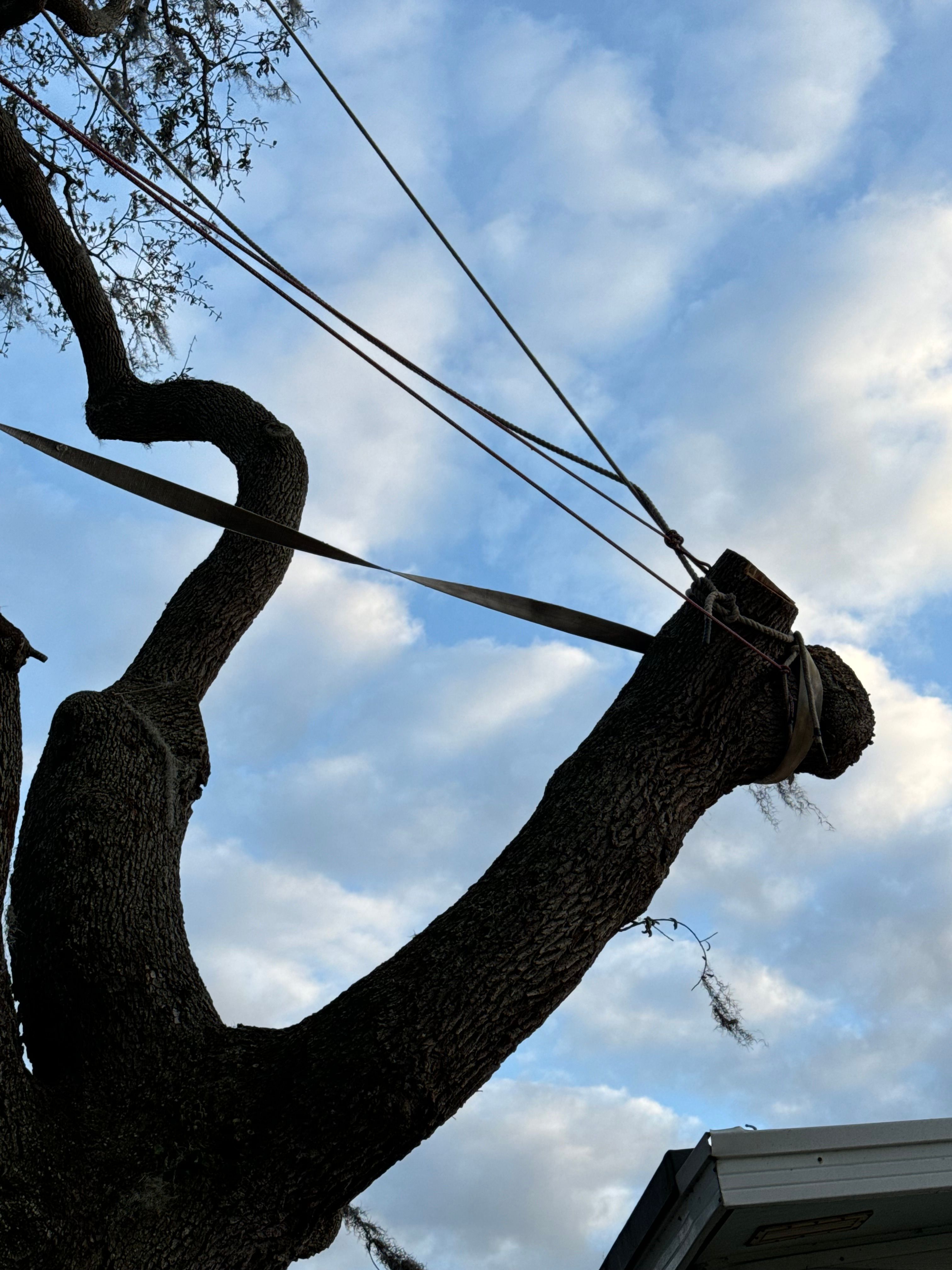  for Joel's Local Handyman Services in Clermont, FL