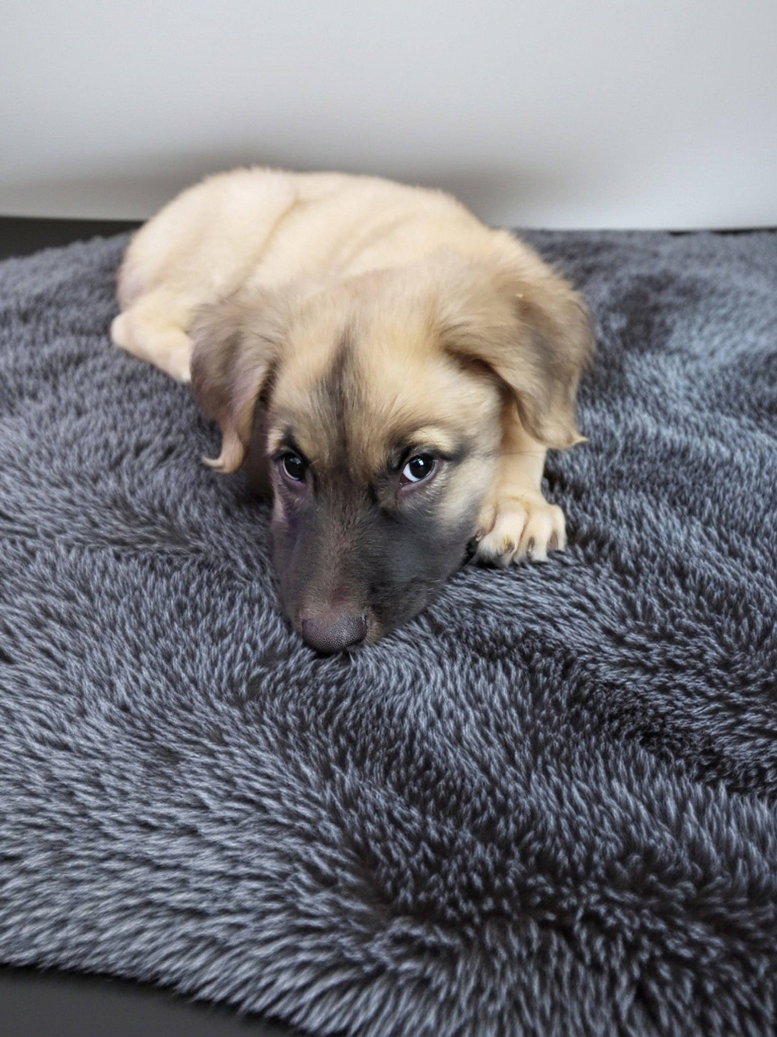  for Sullivan Sanctuary of Maine in Brunswick, ME