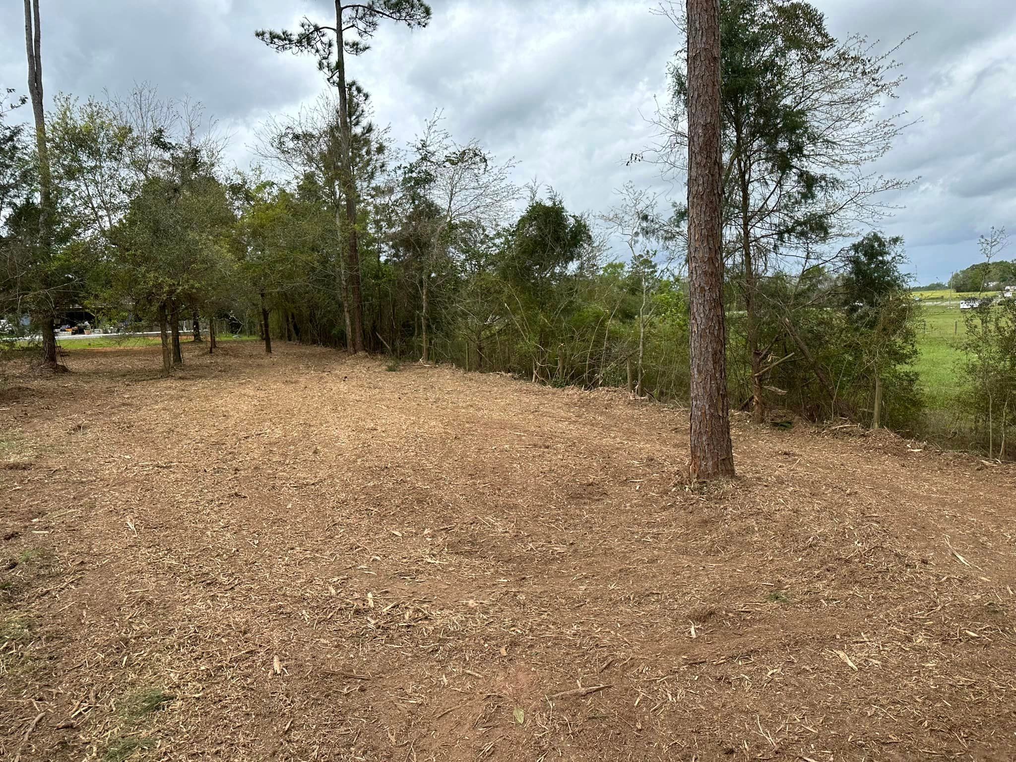 All Photos for White’s Land Maintenance in Milton,, FL