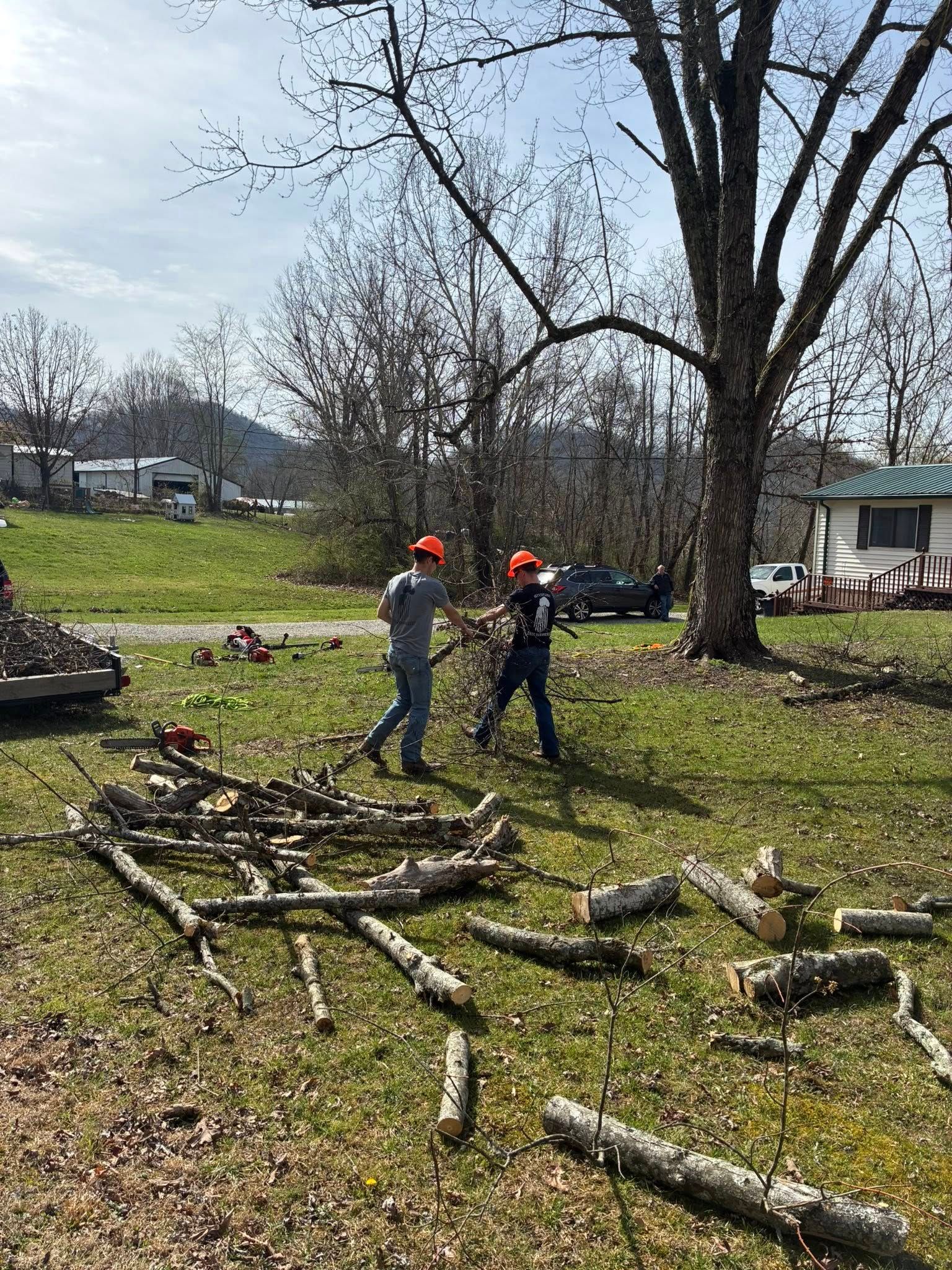  for Skys The Limit Tree Management in Morehead, KY