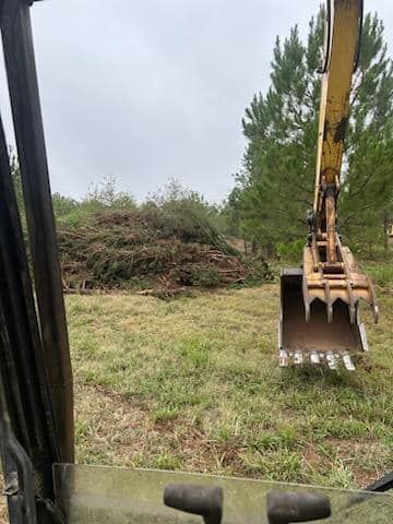 All Photos for Big Thicket Land Clearing in Kountze, TX
