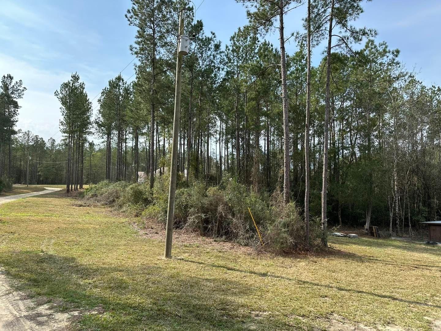 All Photos for White’s Land Maintenance in Milton,, FL