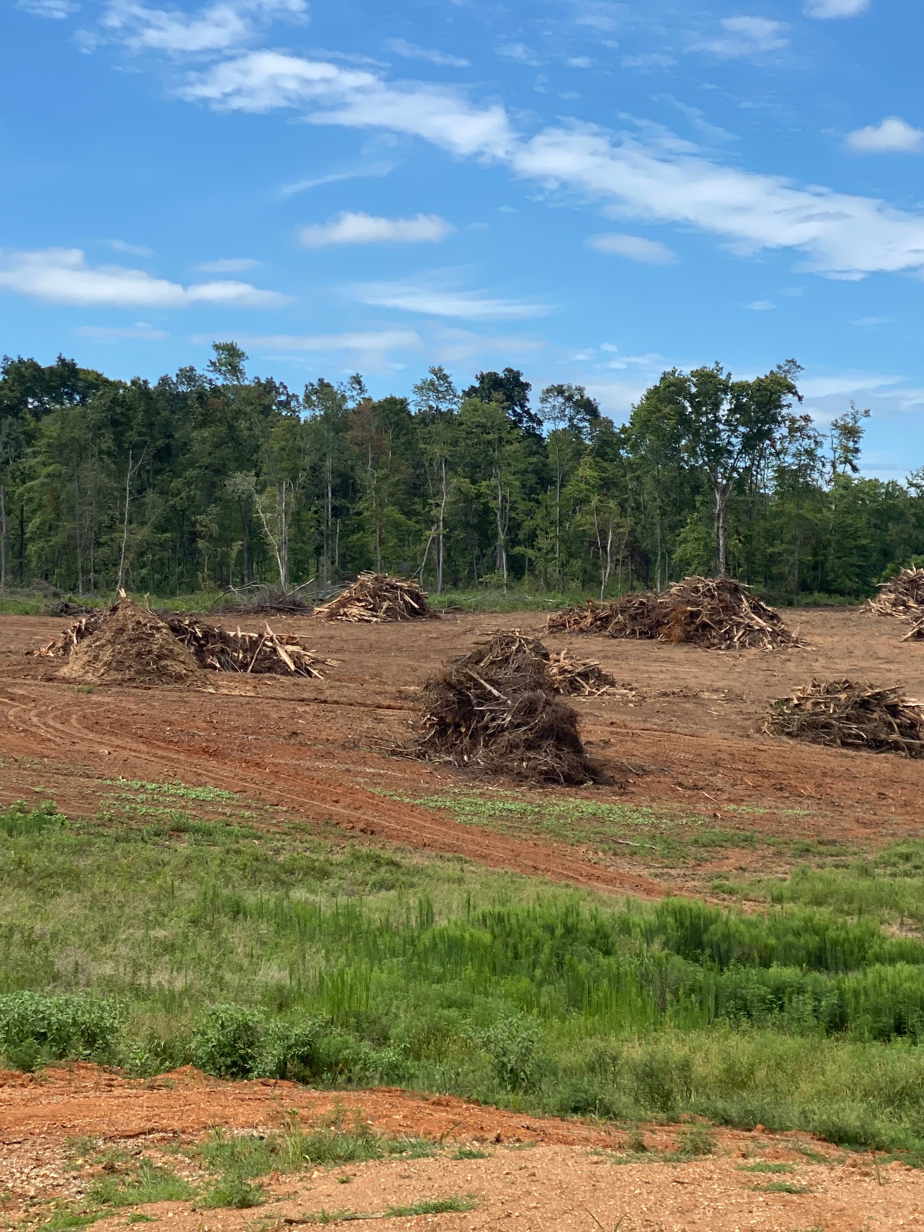  for Legacy Land Clearing in Knoxville, TN
