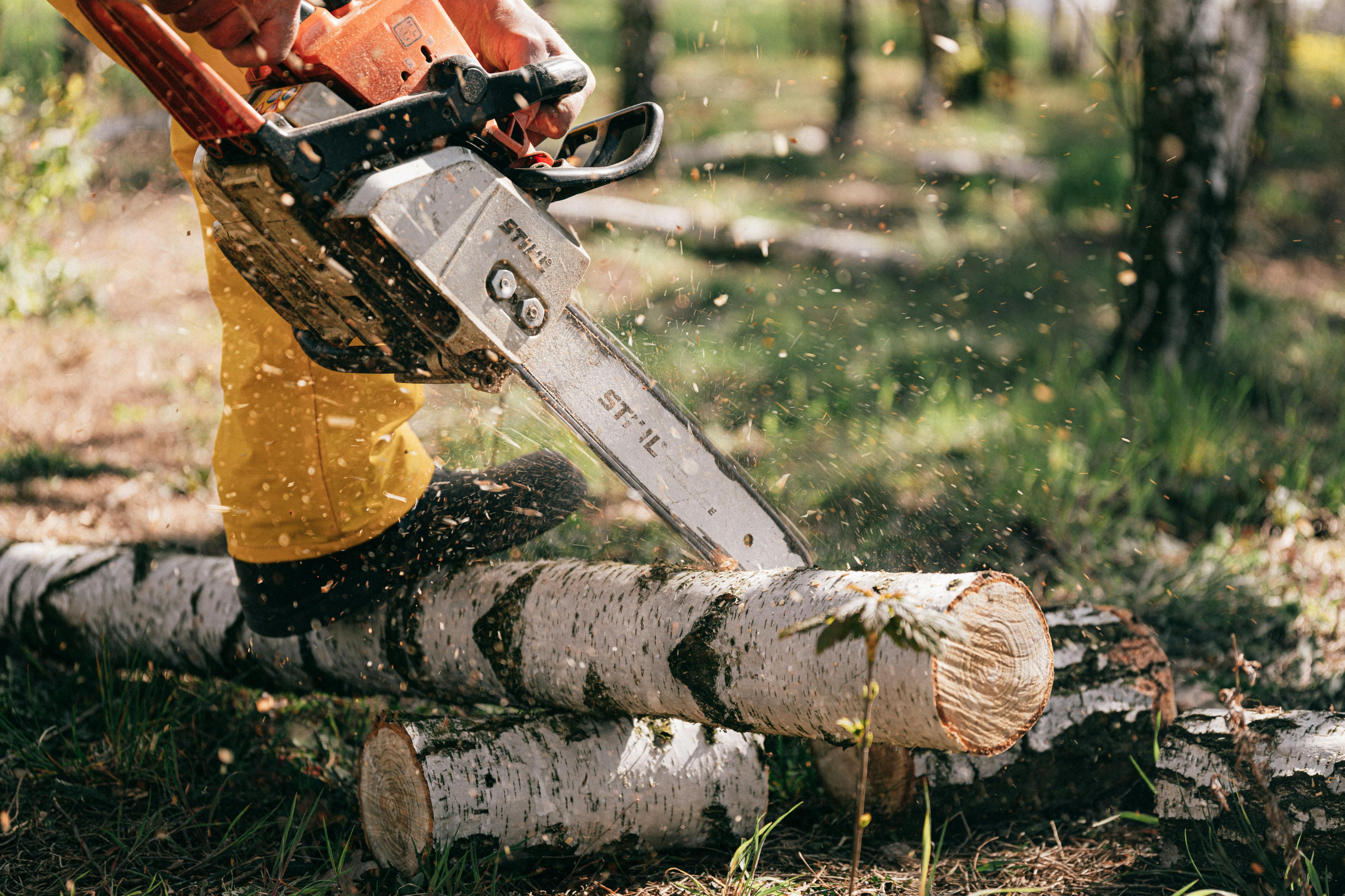 All Photos for Exclusive Demolition & Tree Service in Houston, TX