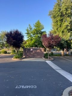 All Photos for Sammy's Tree Services in Sacramento, CA