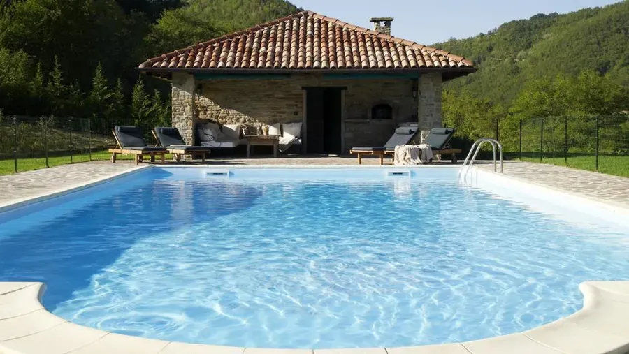  for Omega Professional Brick Pavers Inc. | Rainha e Rei do Brick  in Clearwater, FL