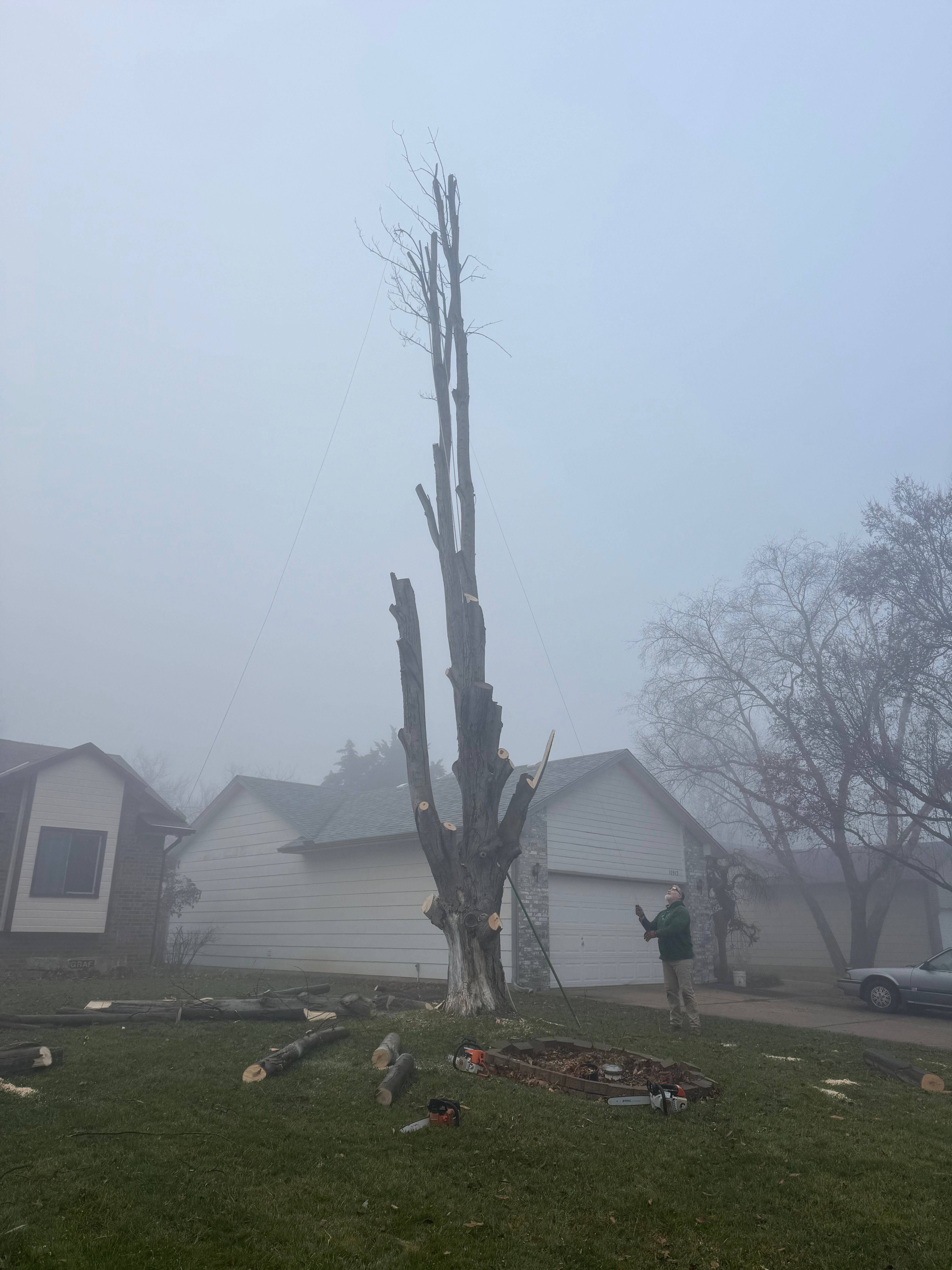 All Photos for Tree Life Tree Service in Wichita, KS