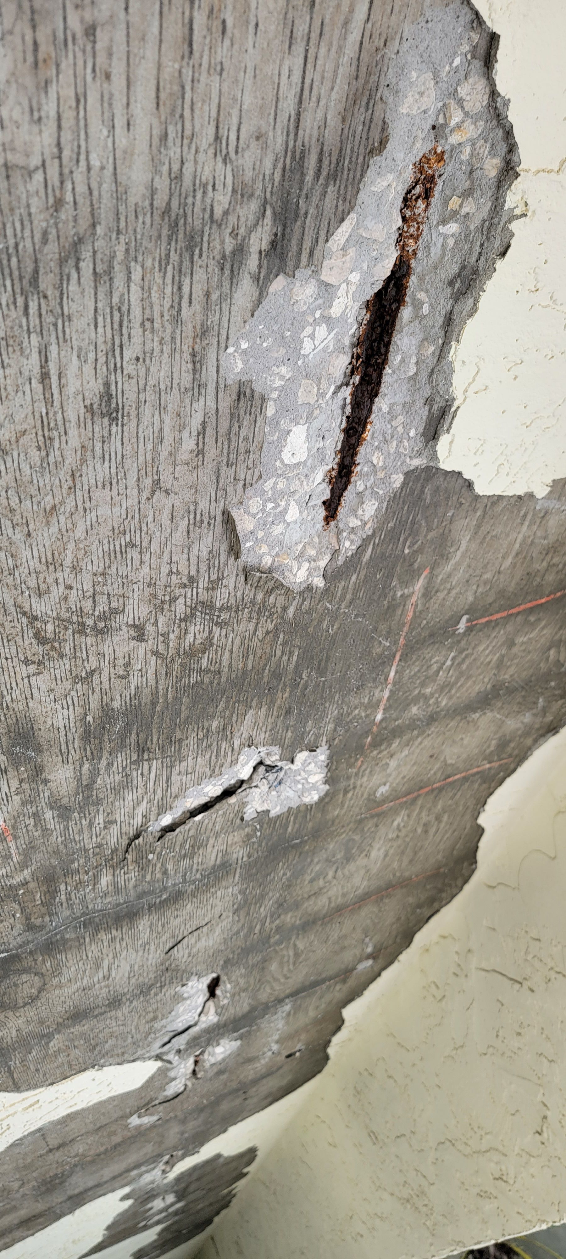  for Millenium Construction & Property Management in Tampa, FL