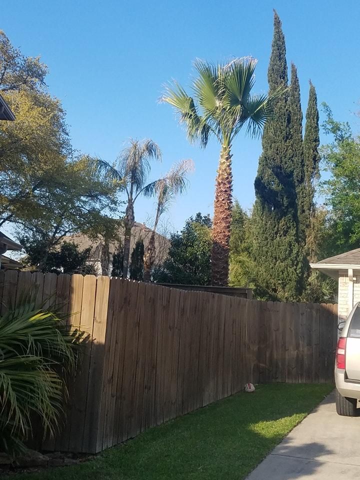  for Servin's Tree Care  in Houston, TX