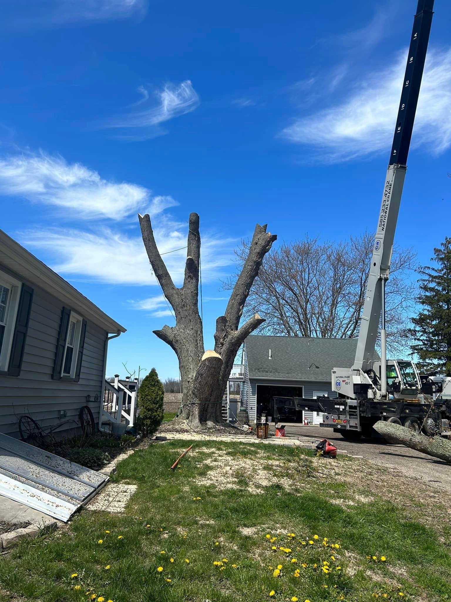  for S.H. Tree Service LLC in Hilton, NY