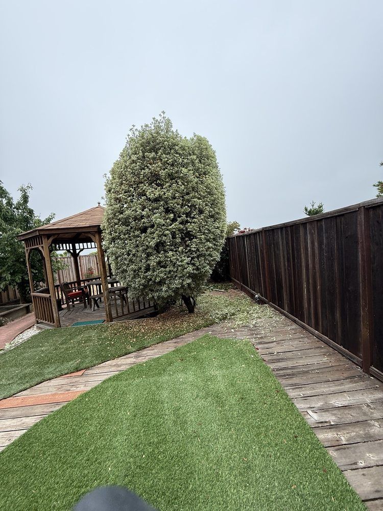  for CBA Landscaping in Hayward, CA