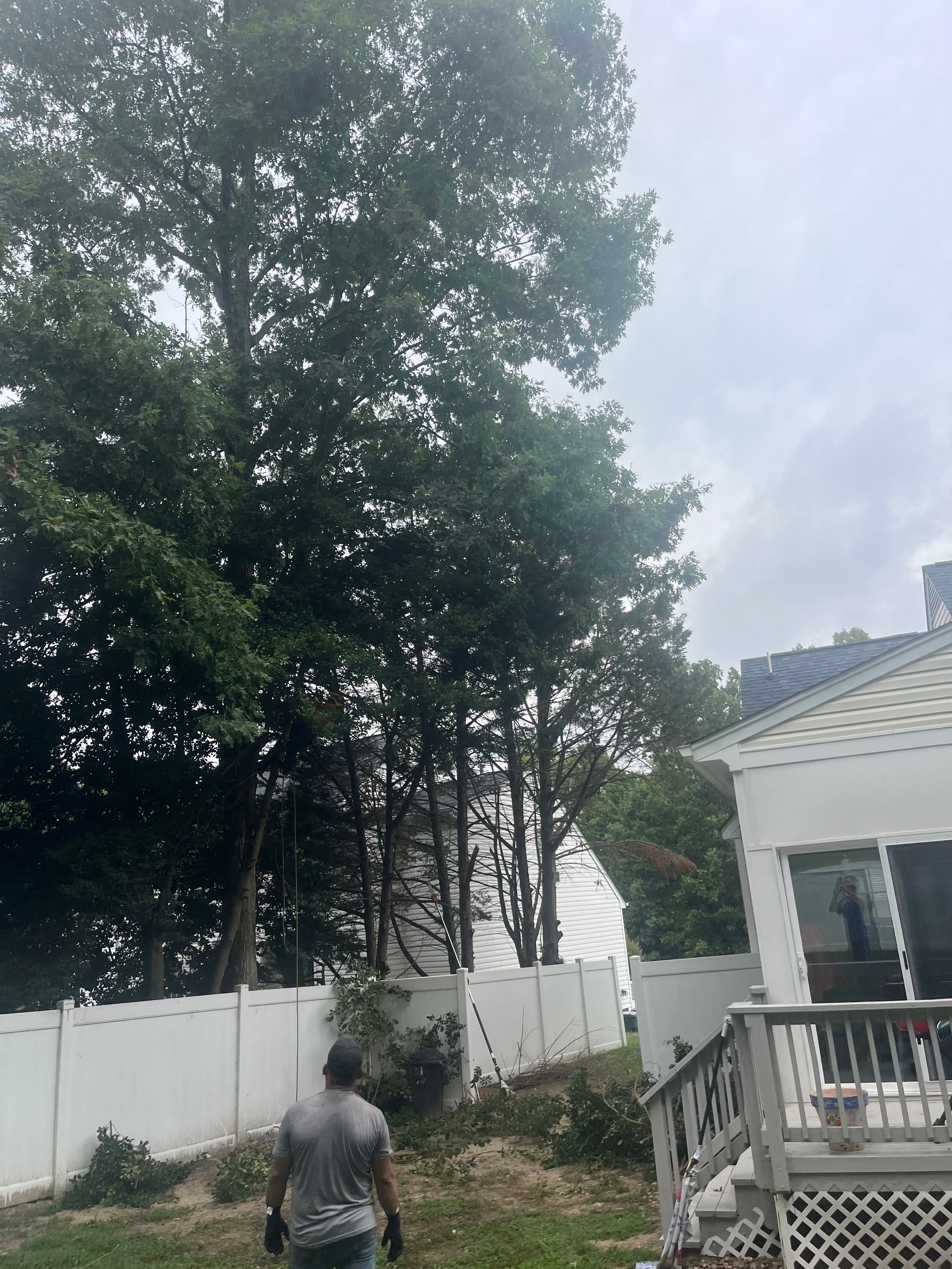  for Ricky's Tree Service & Property Care in Orange, VA