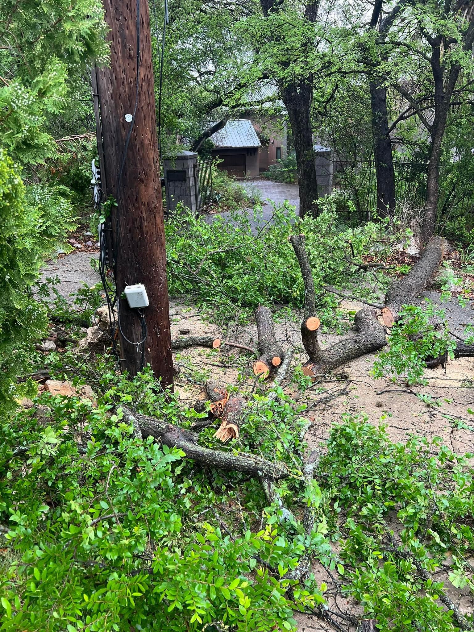All Photos for Camerons Stump Grinding & Tree Services in Austin, TX