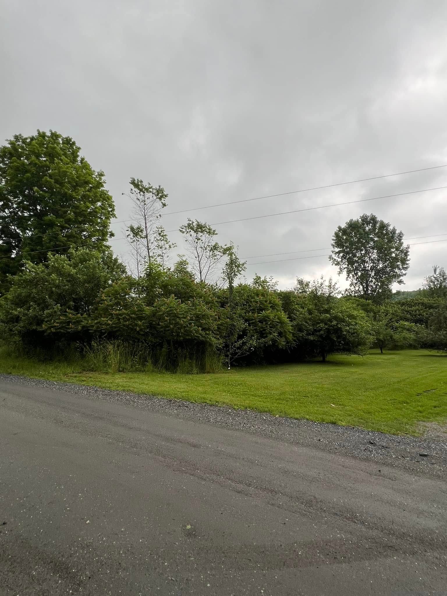 All Photos for Bishop’s Property Maintenance in Franklin, VT
