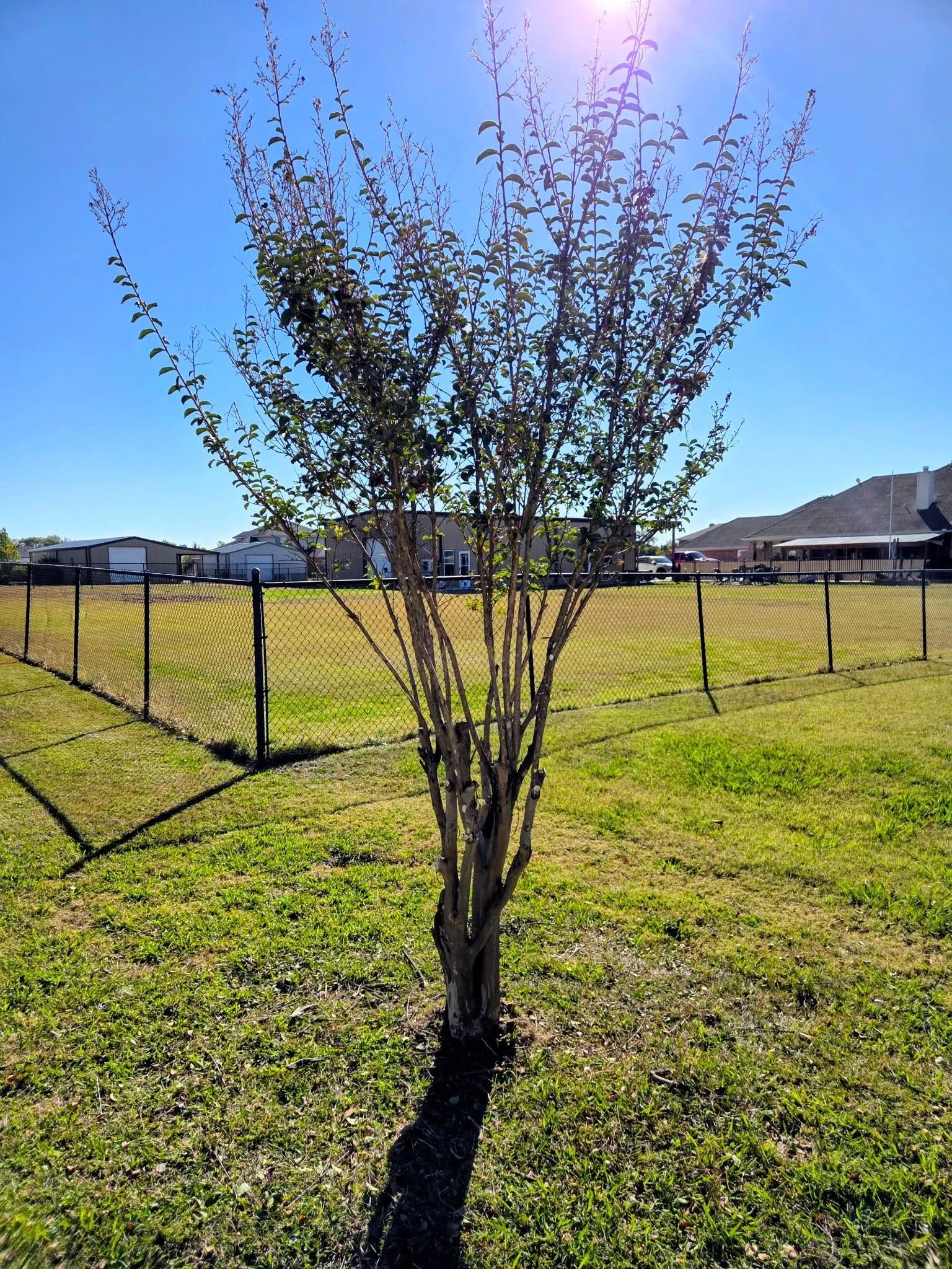  for Lavon Lawn Plus in Lavon, TX