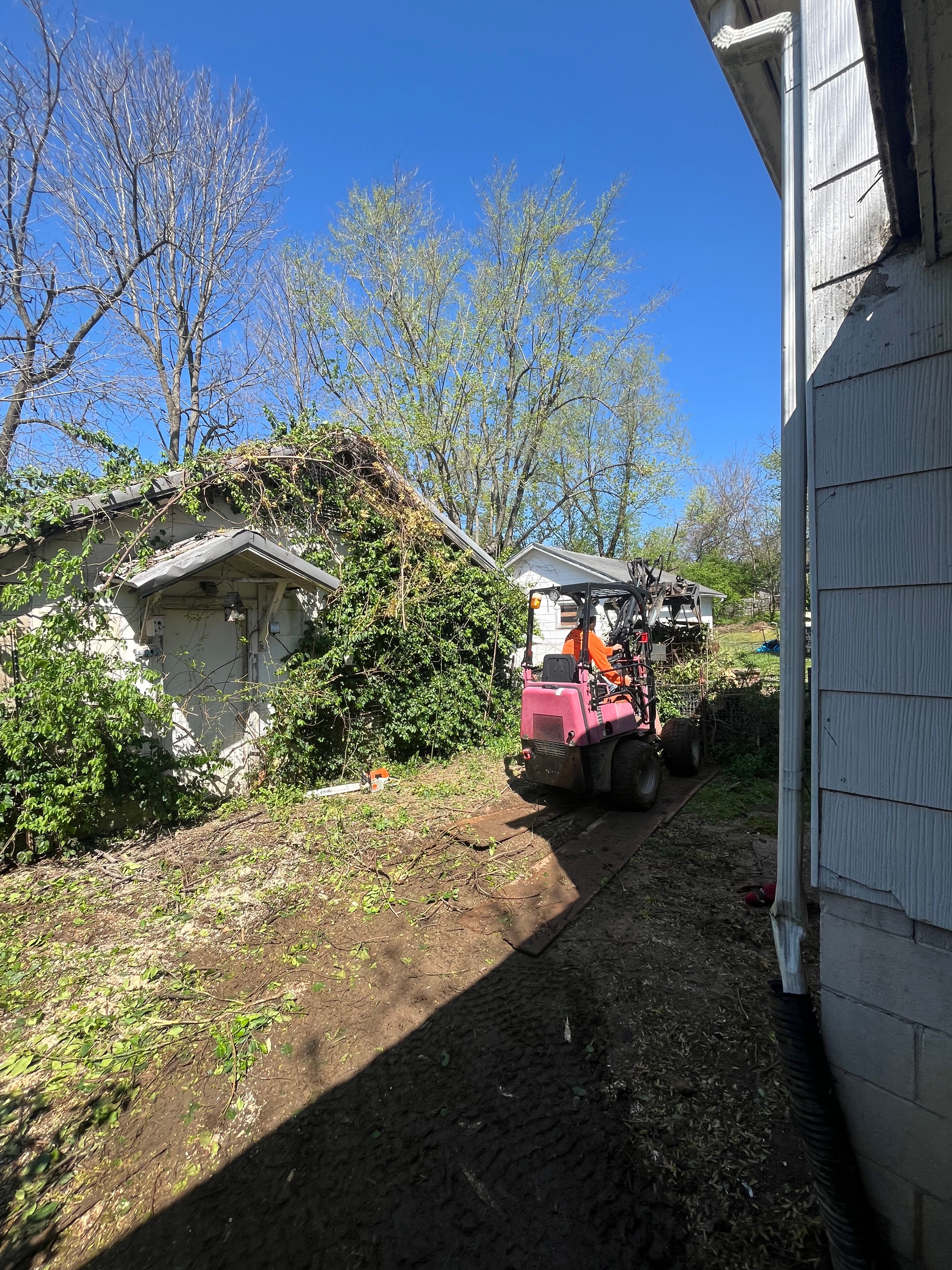  for Curtis Tree Service LLC in Hopkins County, KY
