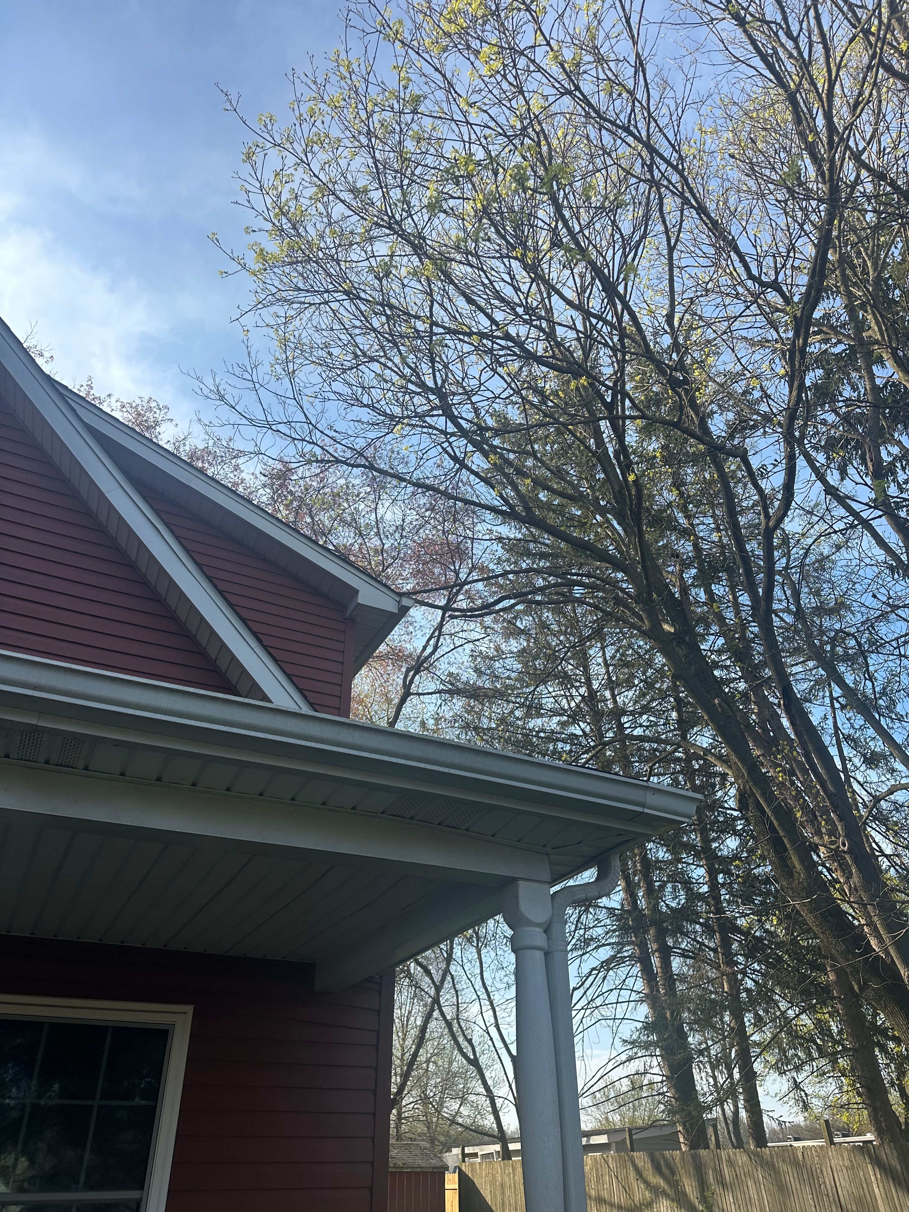  for Loockerman's Tree and Stump Removal in Dover, DE