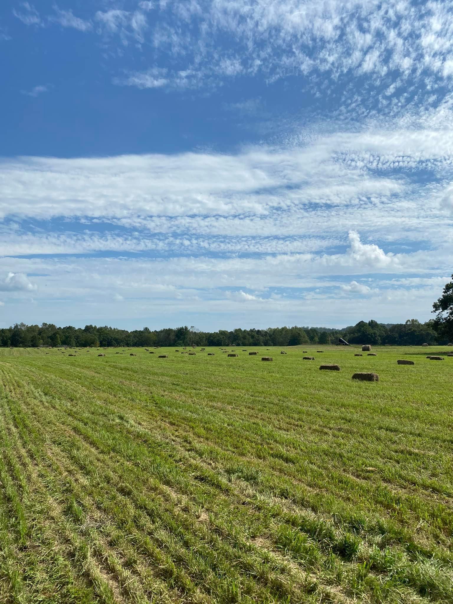 All Photos for Atwood’s Tree Care in Liberty,  KY