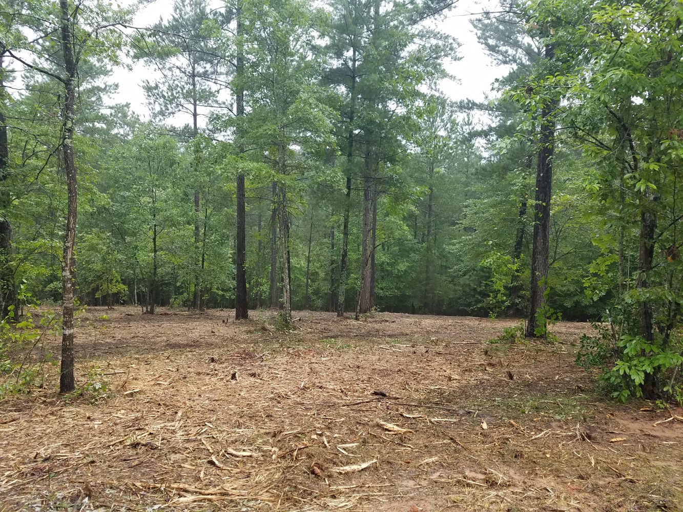  for Iron Pine Land & Grading in Harris County,  GA