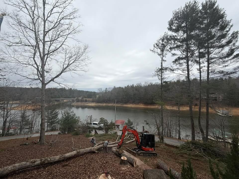  for C & D Landscaping Services LLC in Blairsville, GA