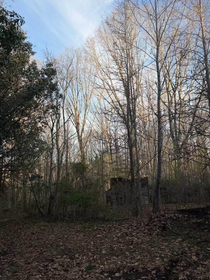  for Ramirez Tree Care in Elkin, NC