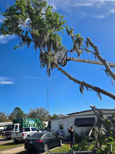 Tree Removal for Near Me Tree Service, Inc. in DeLand, FL