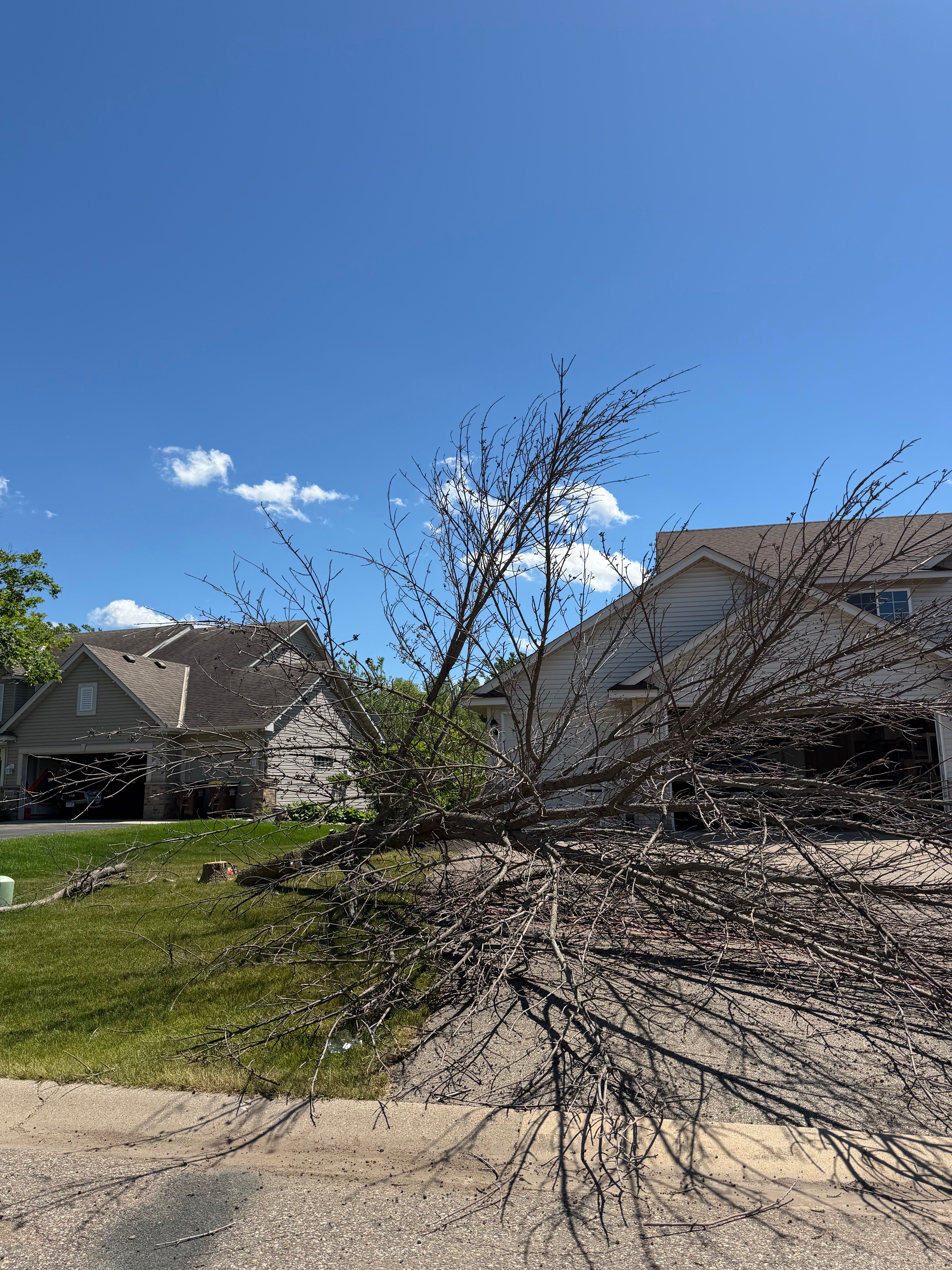  for Division One Landscapes in Elko New Market, MN