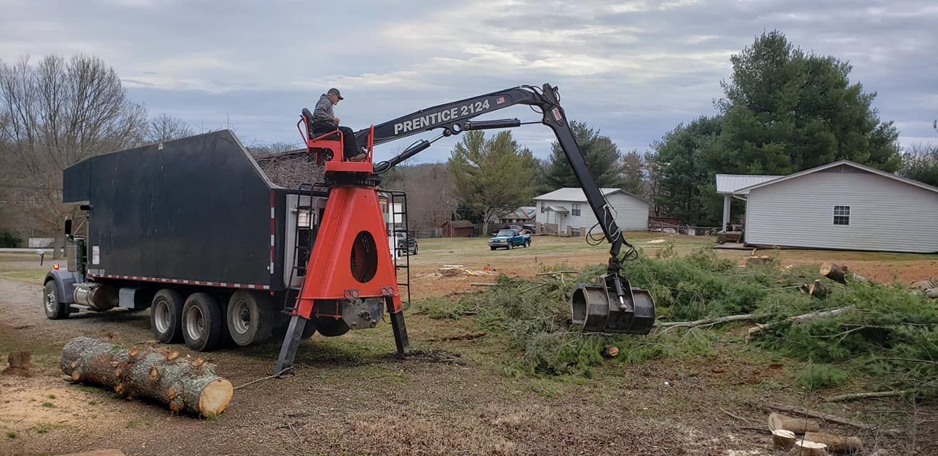  for Reagan & Sons Tree Service in Dandridge, TN