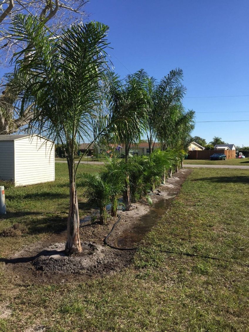  for Plant World LLC in Cape Coral, FL