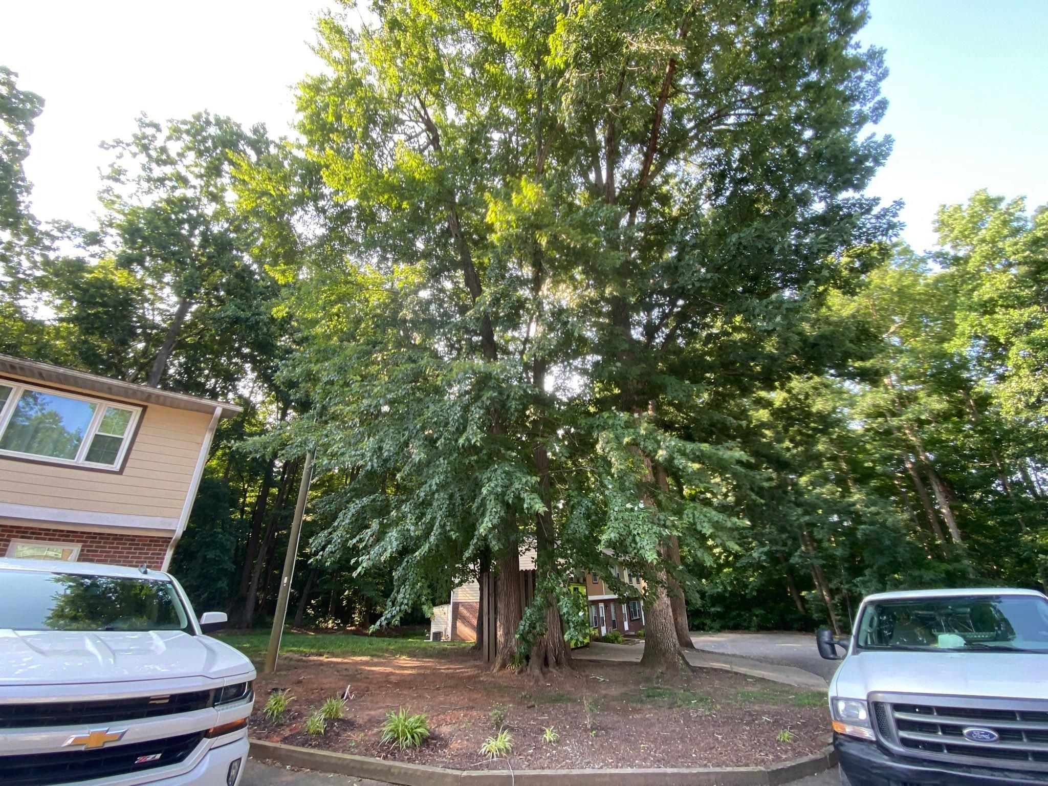  for Diversified Tree Company in Trinity, NC