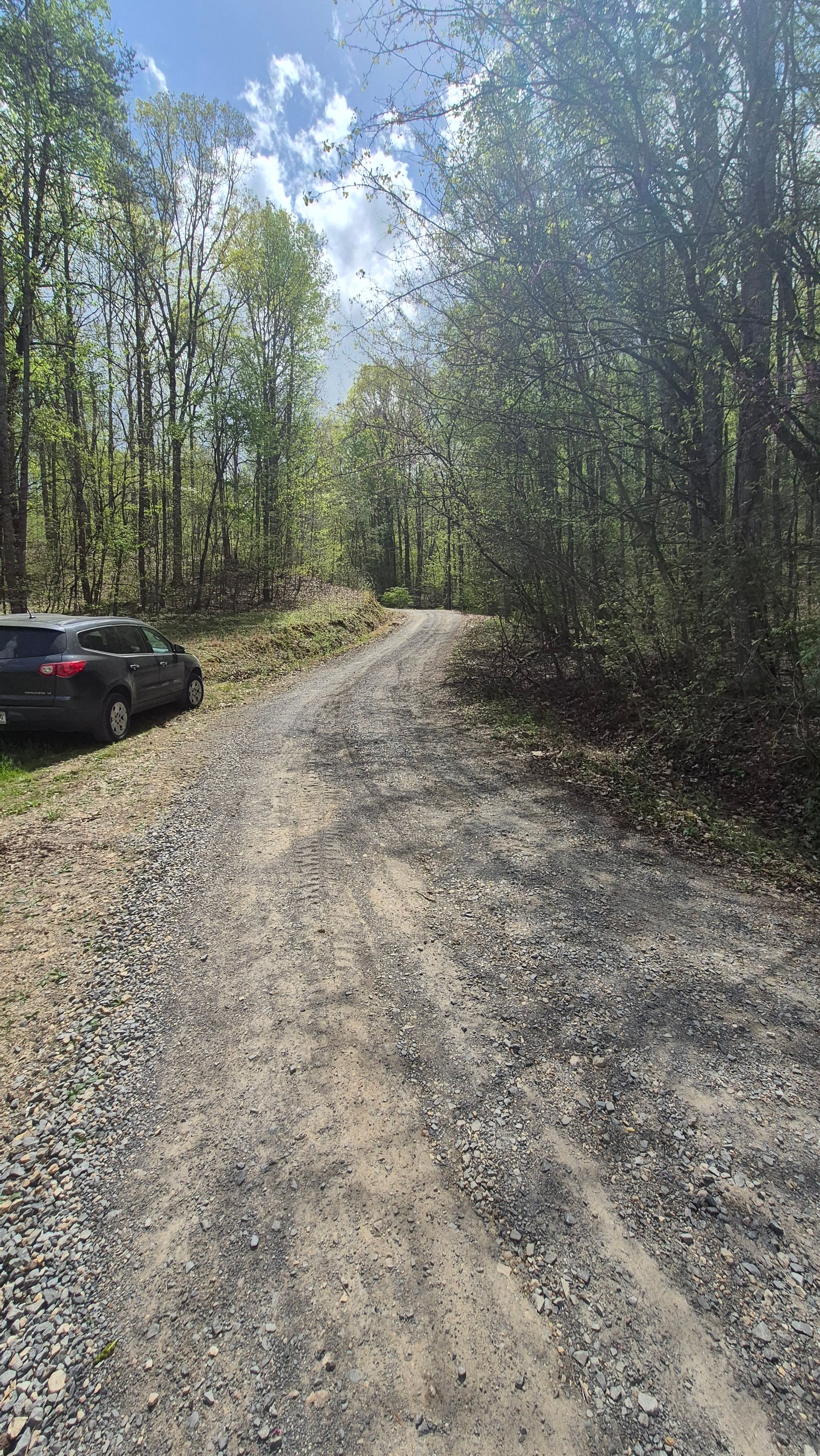  for Liberty Landscapes and Services in Ringgold, GA