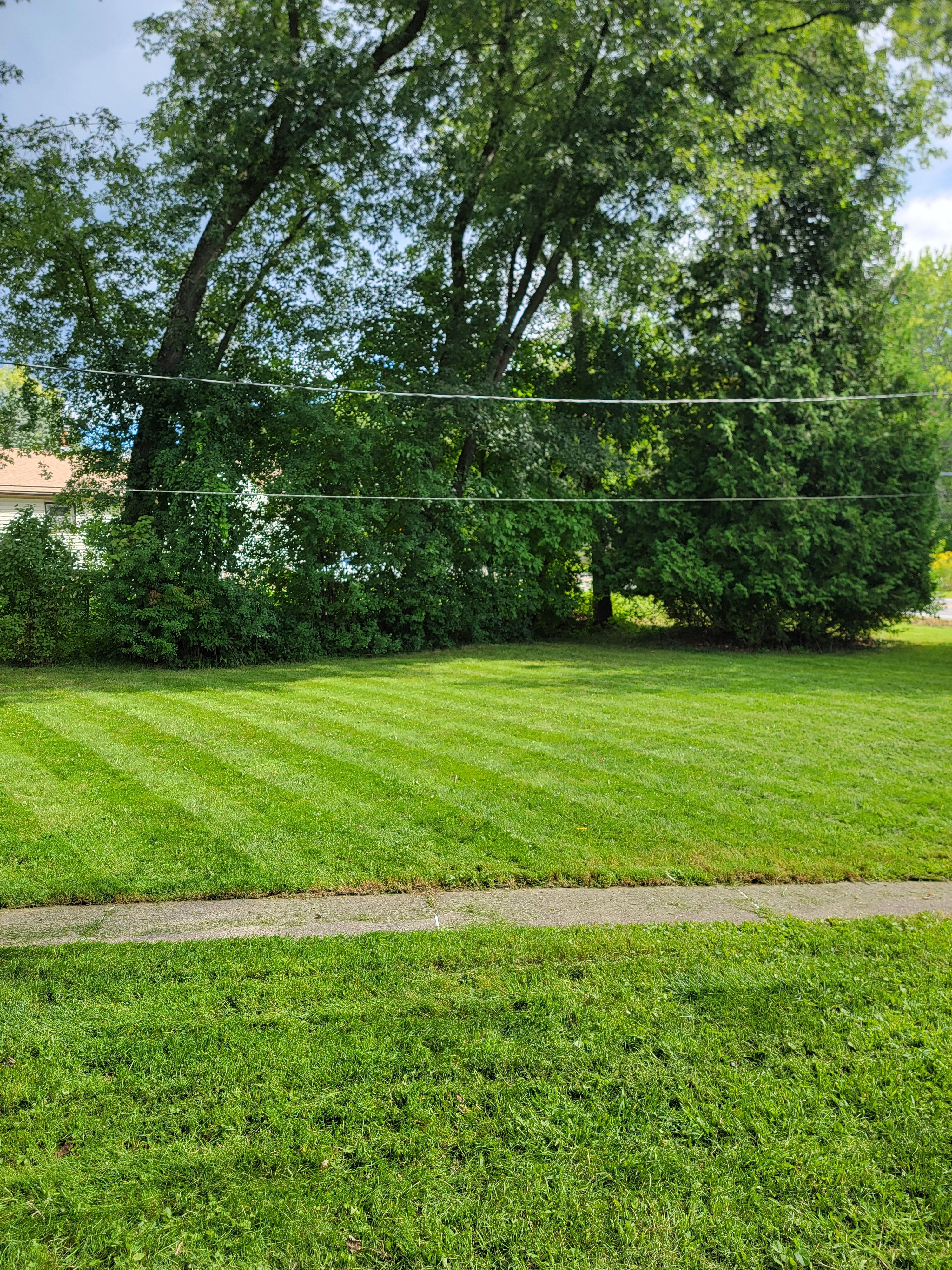  for Sweet Scapes in Ballston Spa, NY