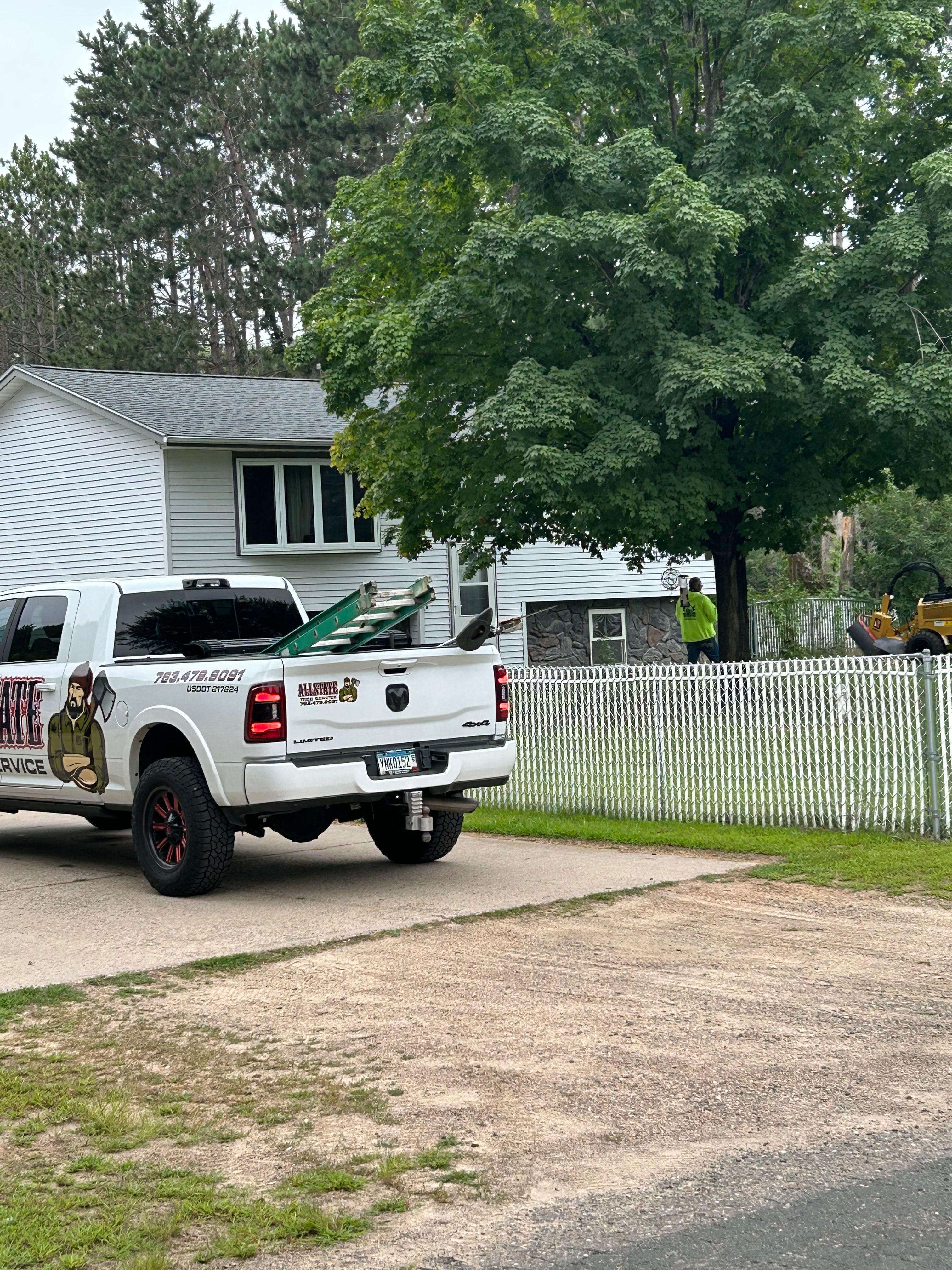 All Photos for Allstate Tree Service in Fridley, MN