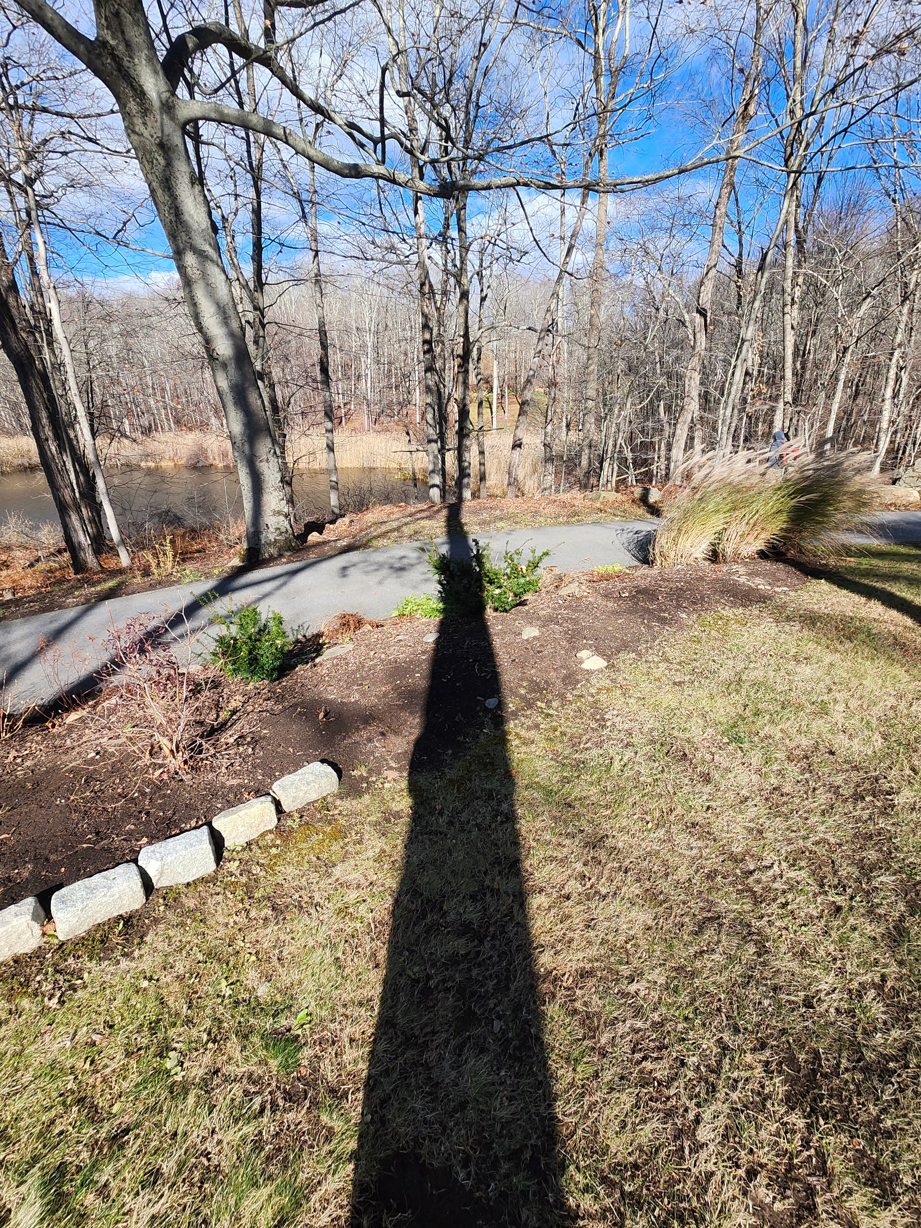 Spring & Fall Cleanups for Landscape Innovations LLC in Torrington, CT