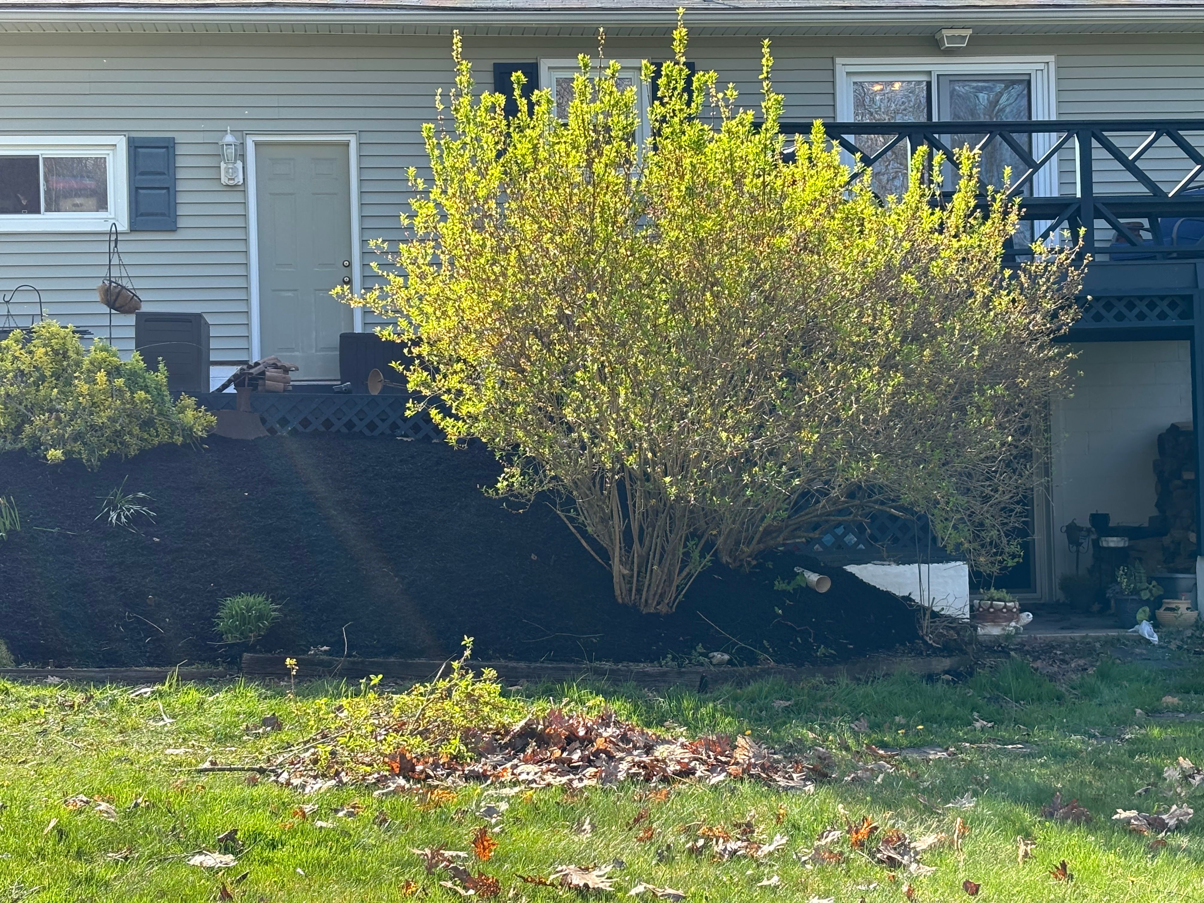  for Bryant Property Solutions in Altoona, PA