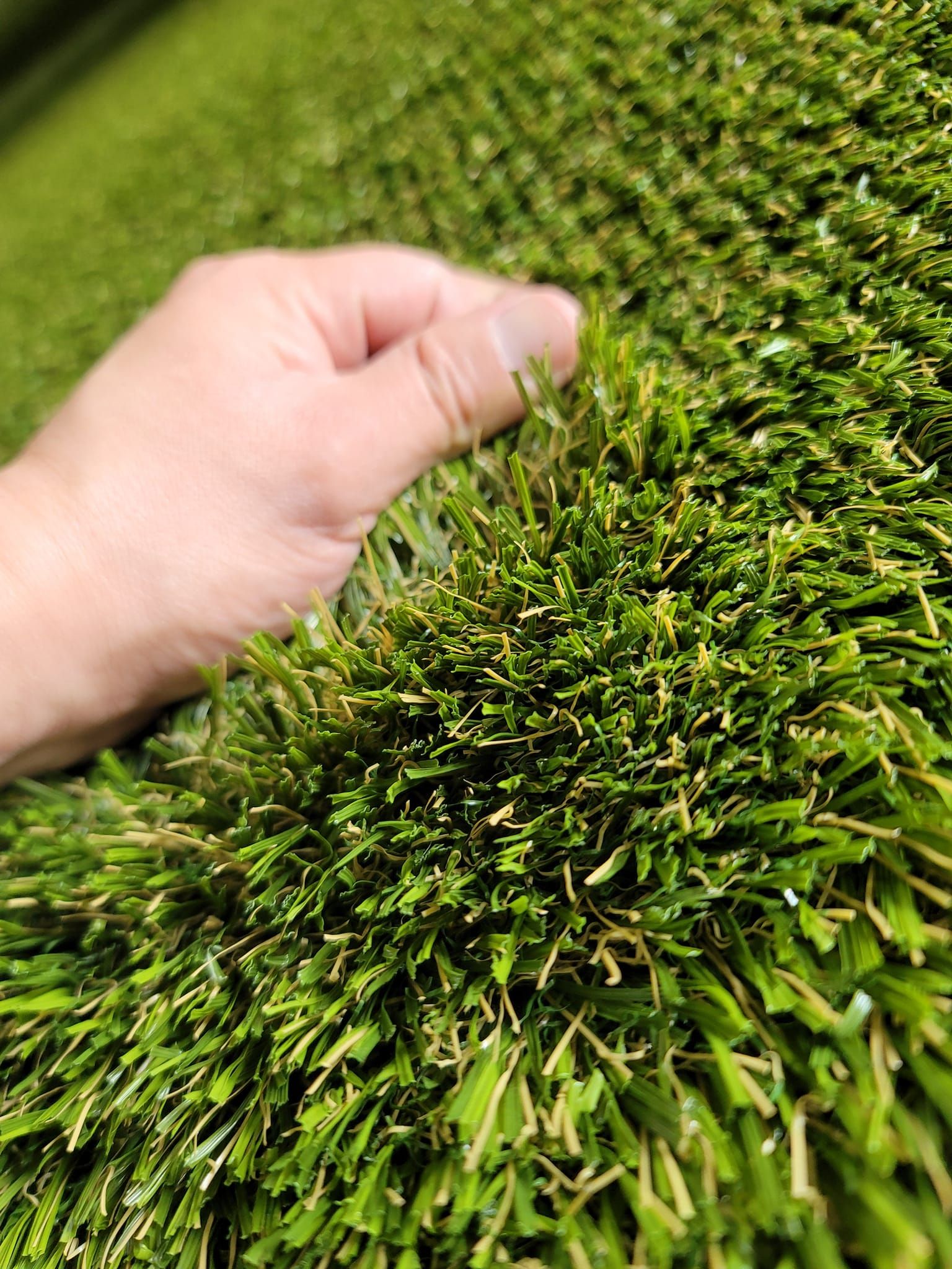 All Photos for Keep It Green Turf in Calhoun, GA