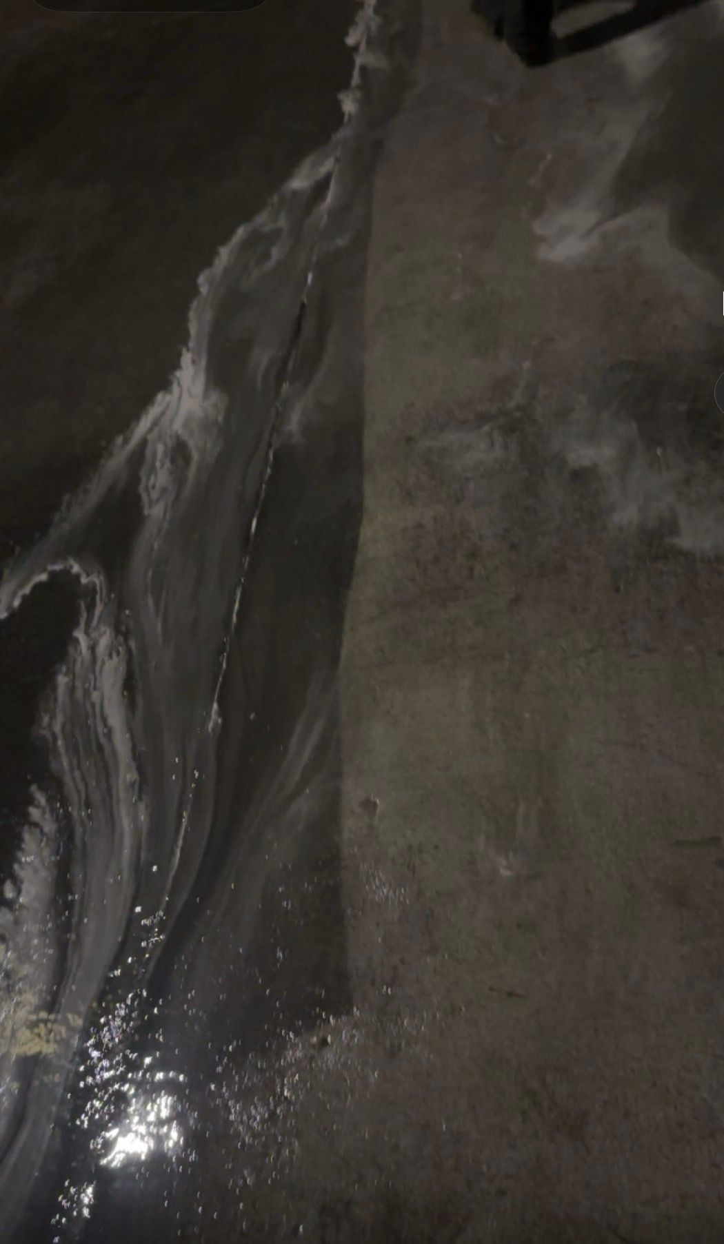  for Premier Softwash in Bluffton, SC