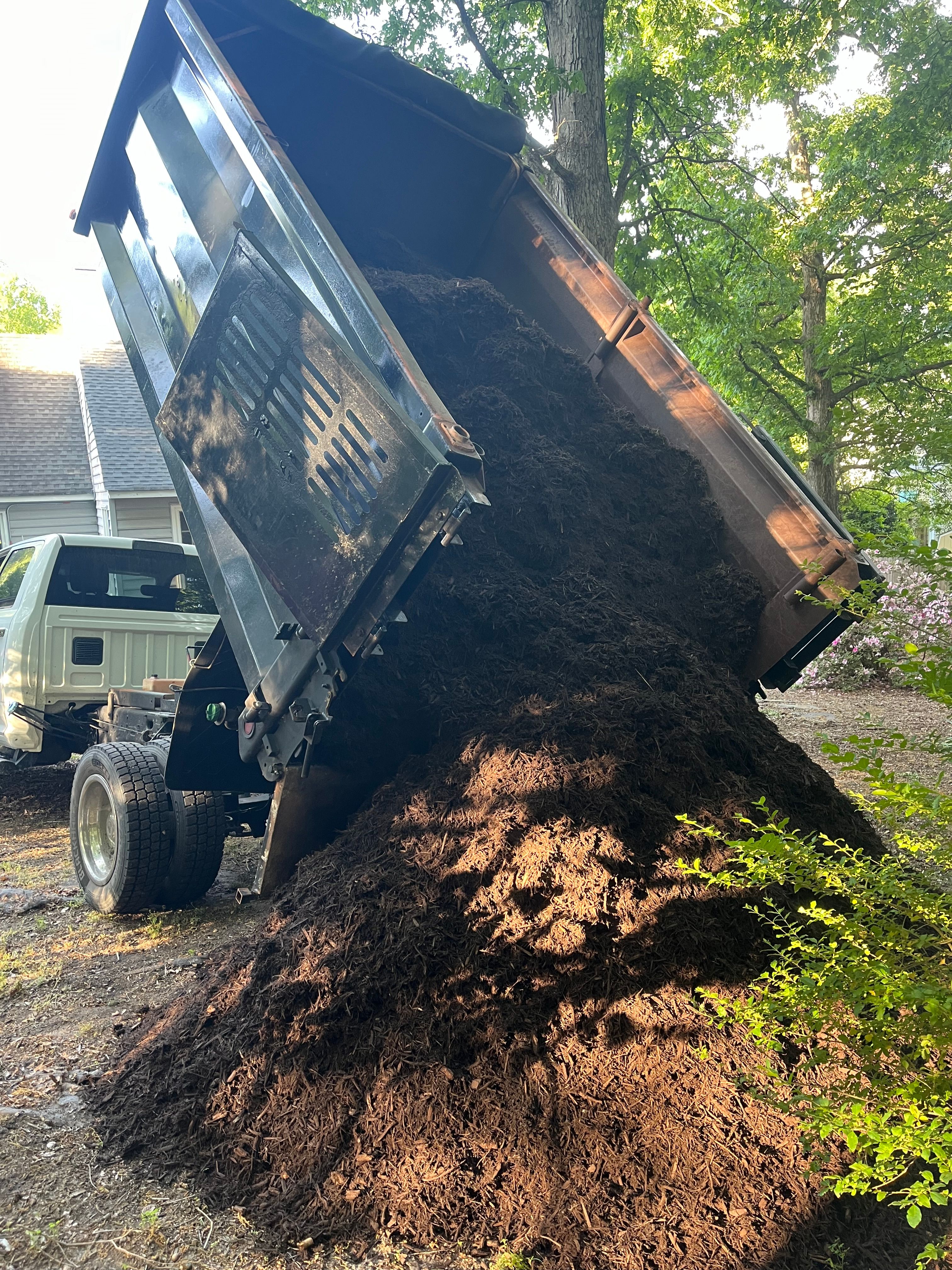  for Atlas Home Services in Mechanicsville, VA