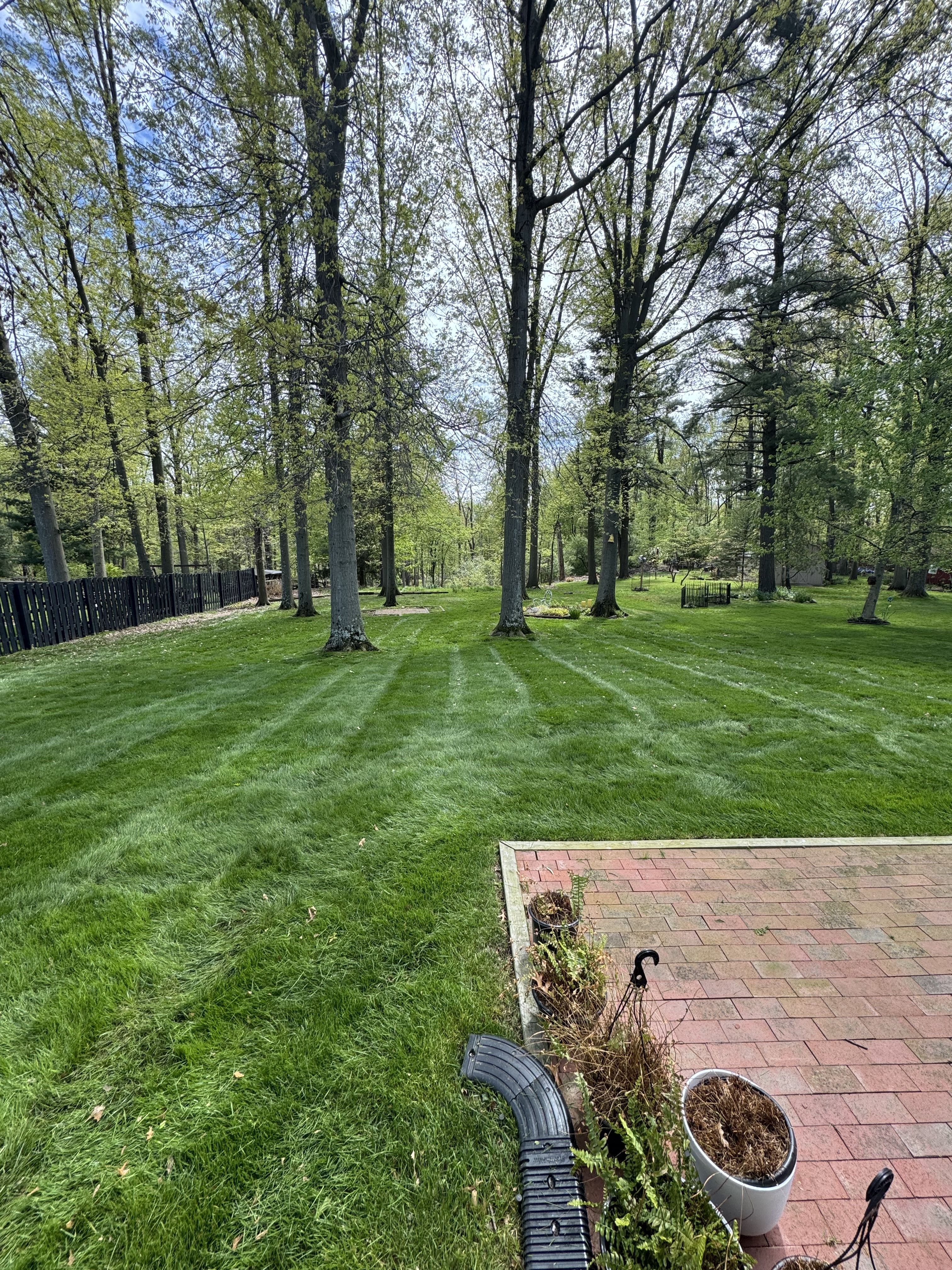  for Yard Theory L.L.C. in Willowick, OH