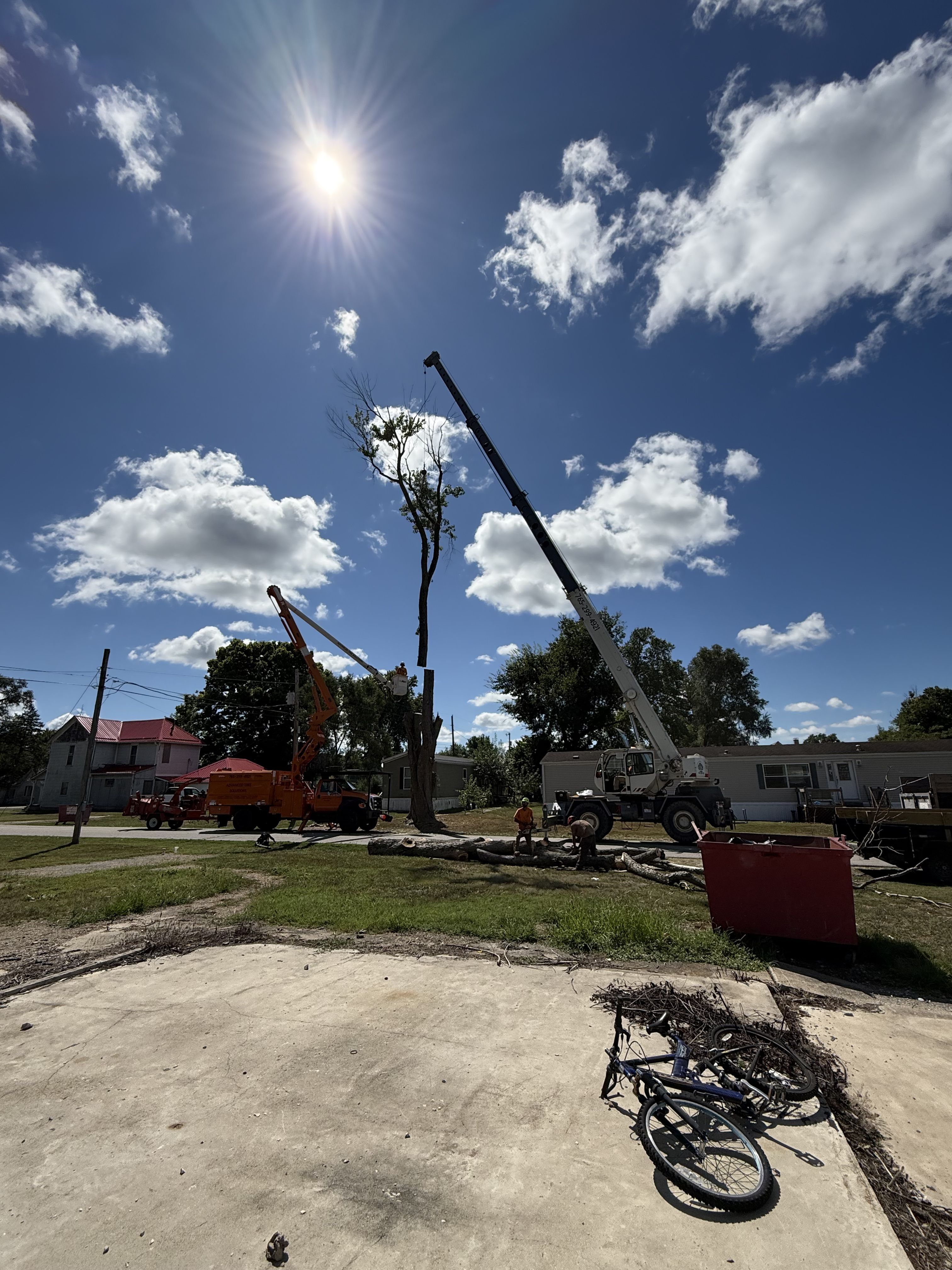  for Advanced Tree Solutions in Rockville, IN