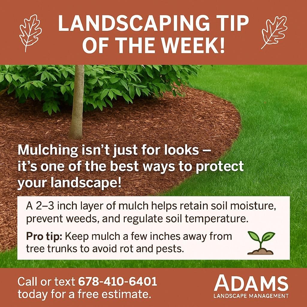  for Adams Landscape Management Group LLC. in Loganville, GA