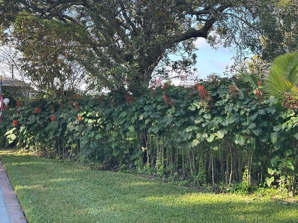  for Garrison Pest Control Inc in North Weeki Wachee, FL